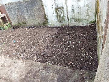 Luís Navarro - Maia - Gardening