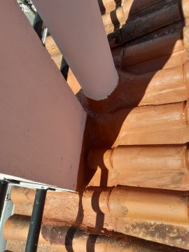 Carlos - Almada - Exterior Painting