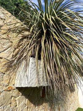 Jardinagem e Relvados
