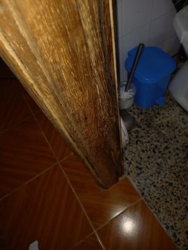 Pintura - Casa