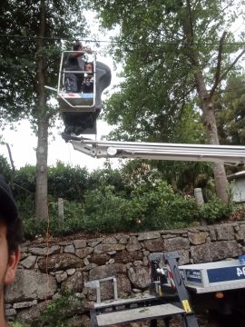 Luís Navarro - Maia - Remoção de Tronco de Árvore