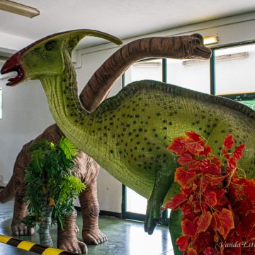 Vanda Estriga - Moita - Real Estate Services