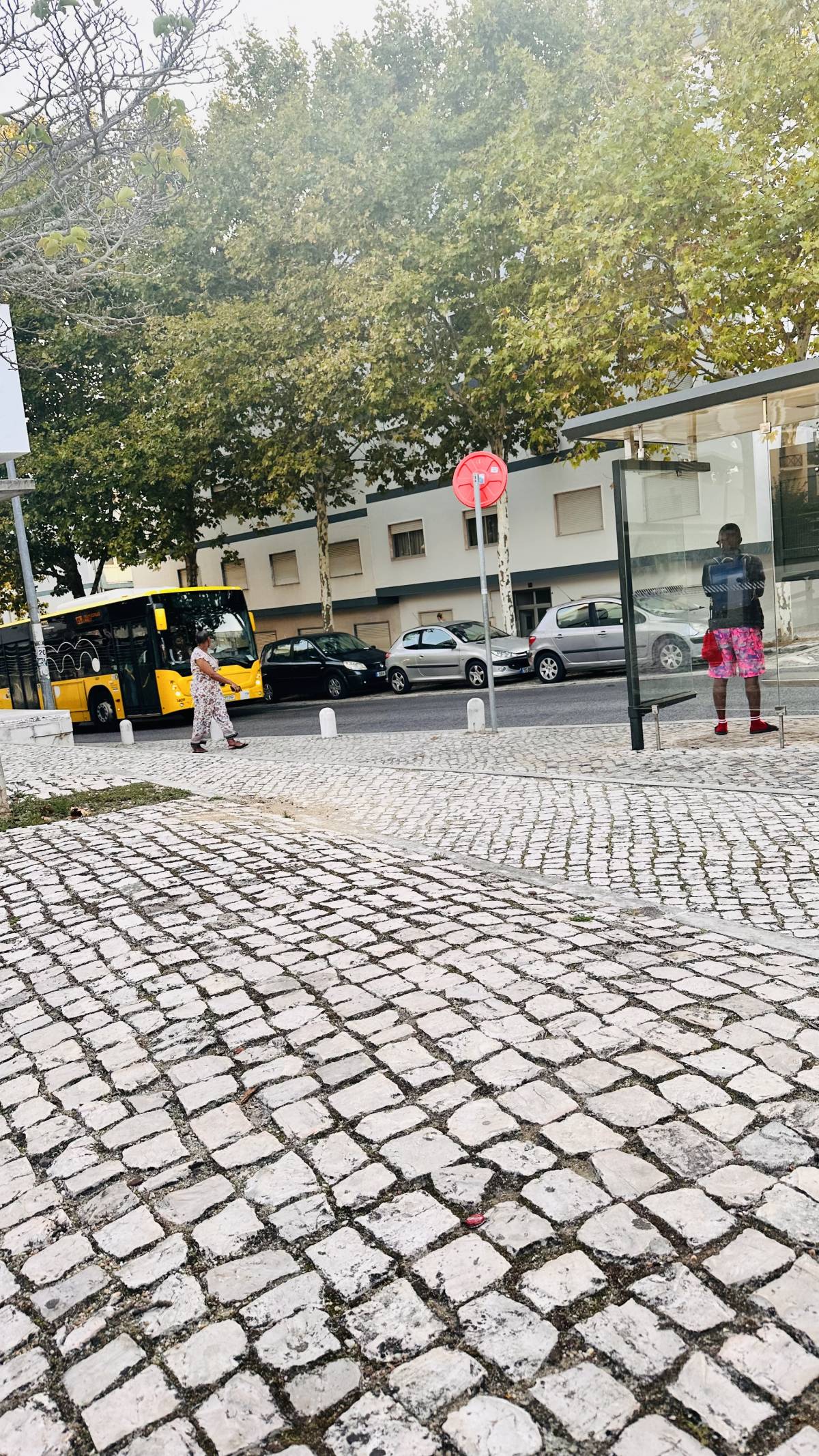 Empreitada Dinâmica - Sintra - Instalación de tuberías de fontanería