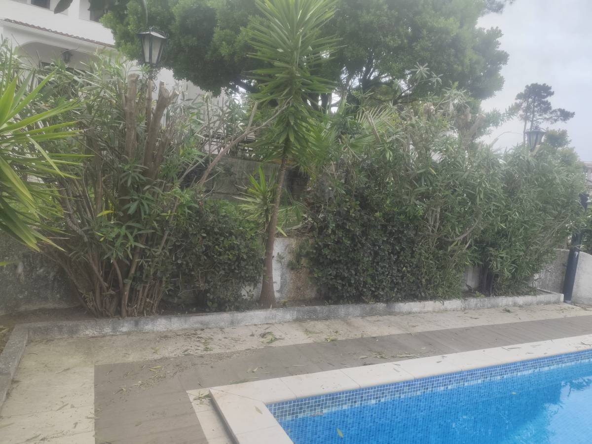 Artur - Sesimbra - Home Waterproofing