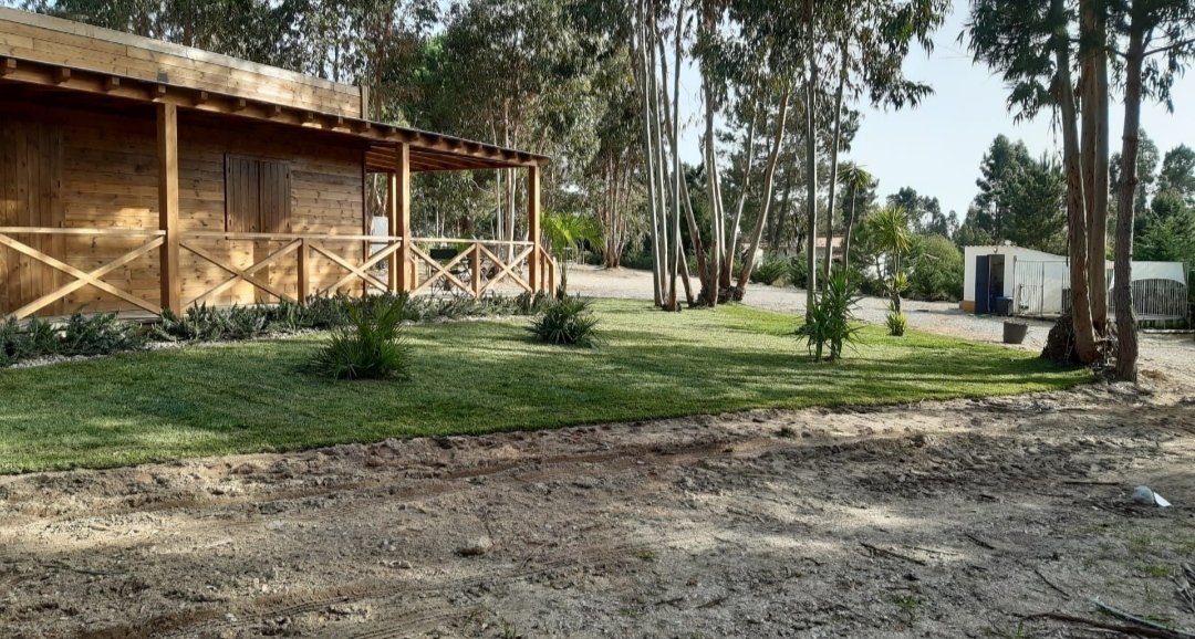 Rafael limpeza de jardins - Vila Nova de Famalicão - Grundreinigung oder Frühjahrsputz