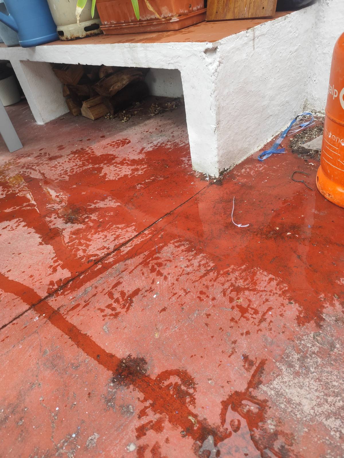 Artur - Sesimbra - Flooring
