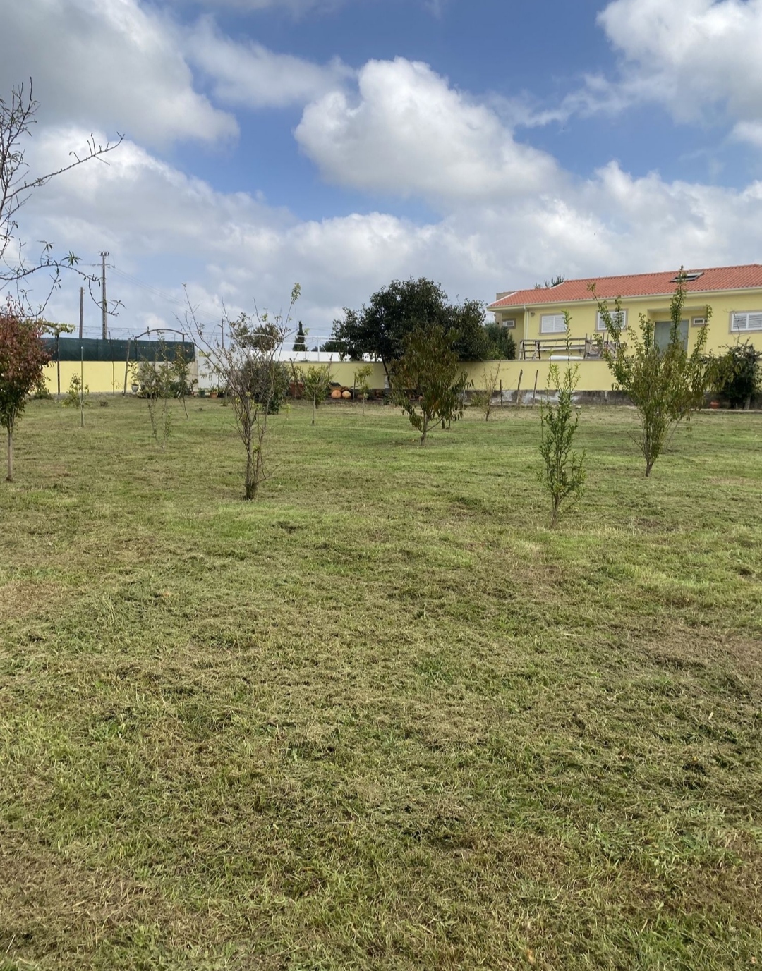 Rafael limpeza de jardins - Vila Nova de Famalicão - Küche sanieren