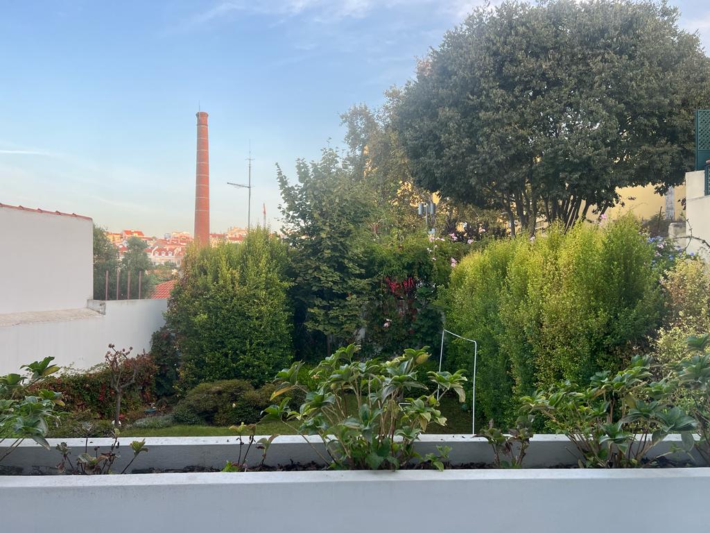 Diogo Gouveia - Garden Keeper - Manutenção de Jardins - Lisboa - Tratamento de Relvado