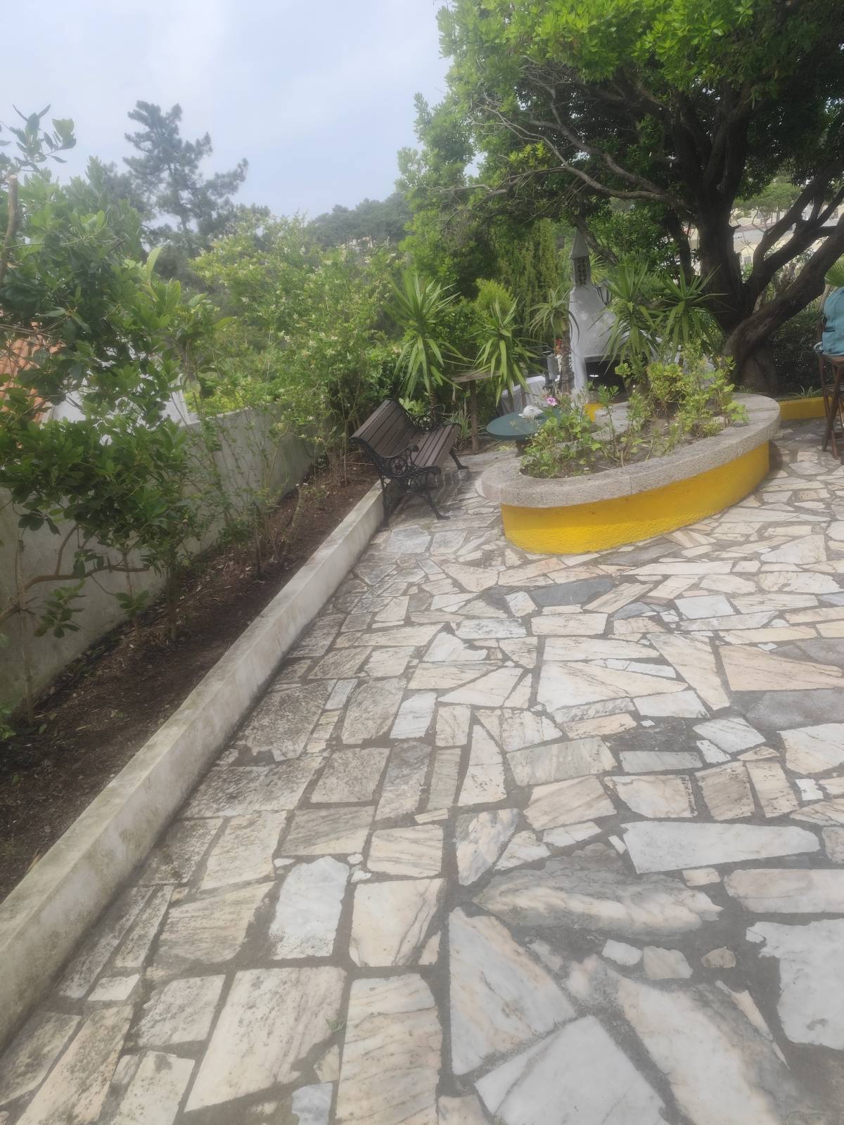 Artur - Sesimbra - Tree Stump Grinding and Removal