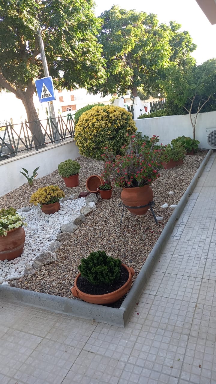O mundo das plantas - Benavente - Instalación de césped