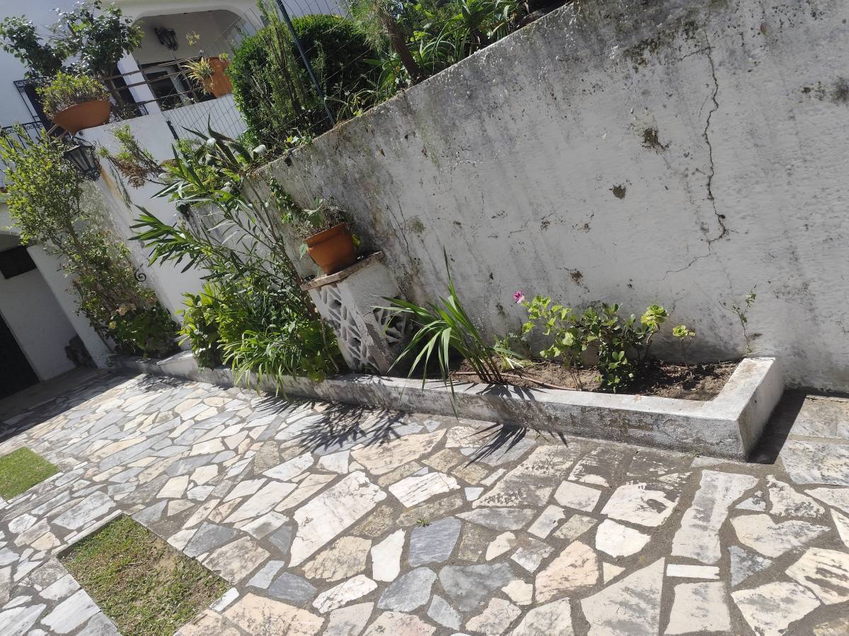 Artur - Sesimbra - Shrub Removal