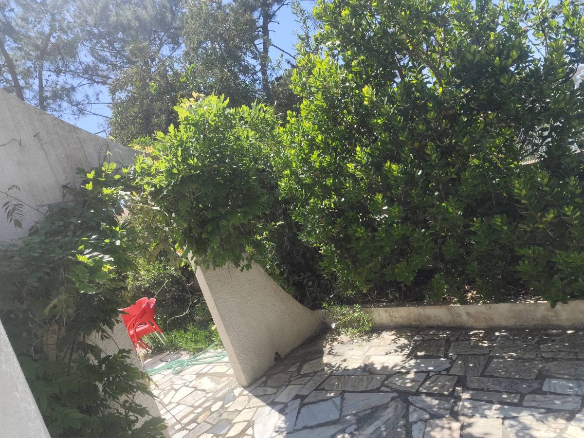 Artur - Sesimbra - Roof Cleaning