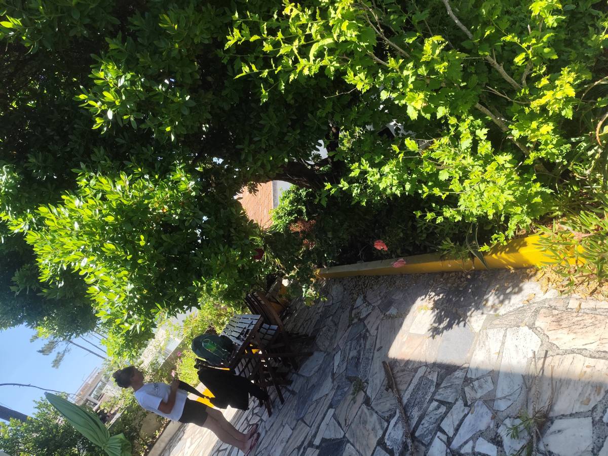 Artur - Sesimbra - Lawn Mowing and Trimming