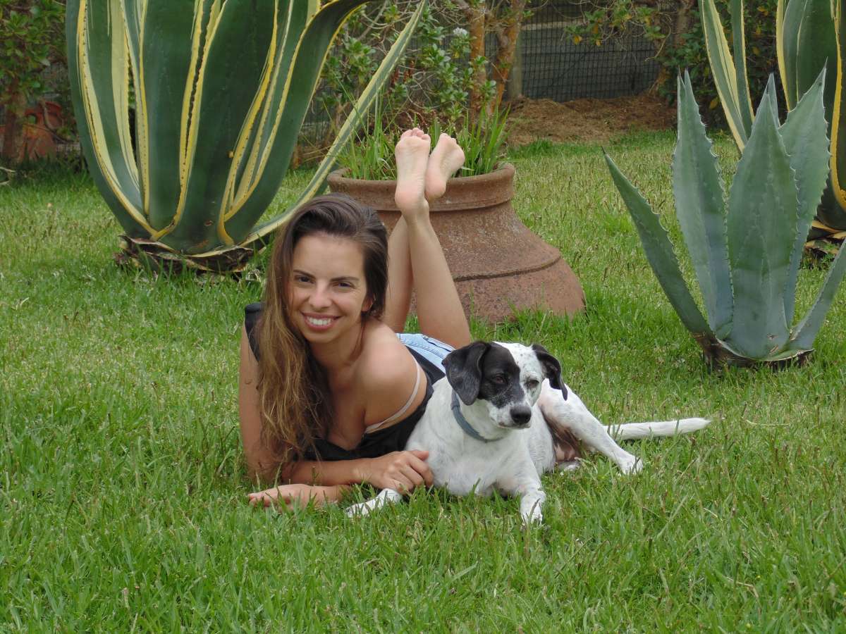 Diana Neves - Mealhada - Cuidados para Animais de Estimação