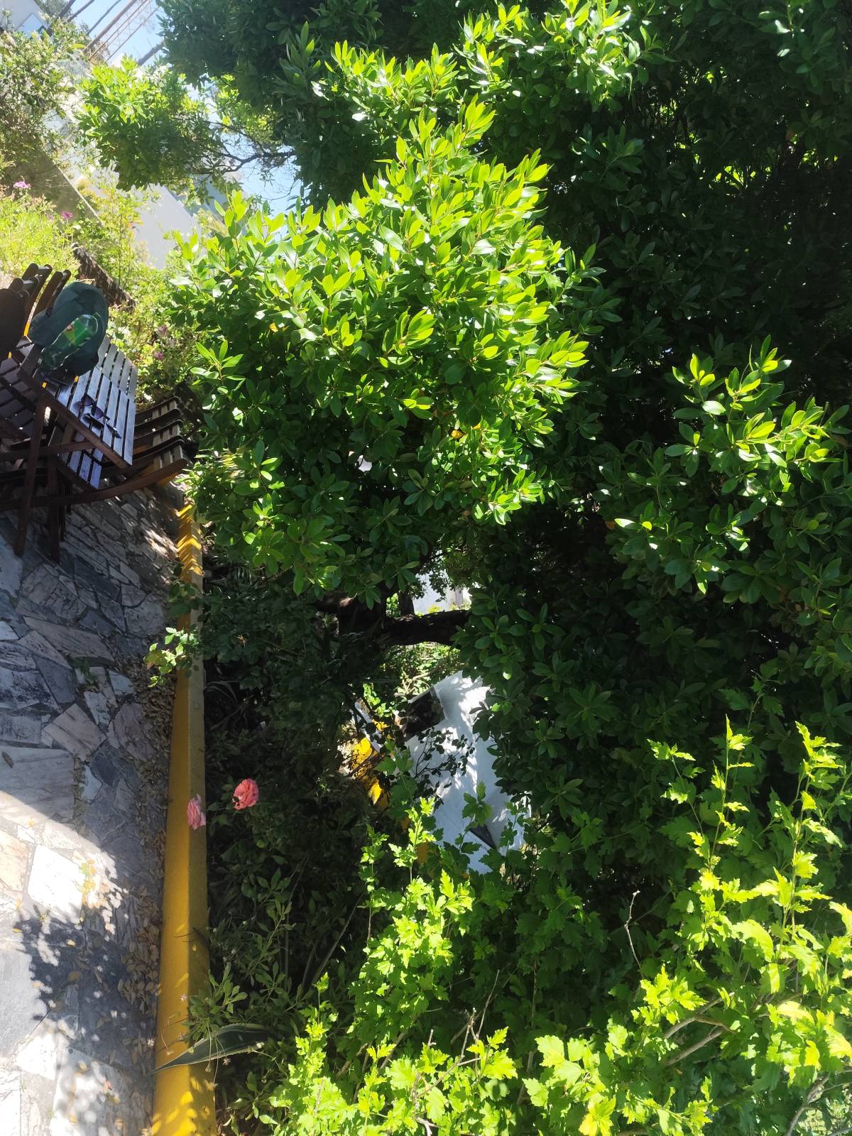 Artur - Sesimbra - Hot Tub and Spa Installation