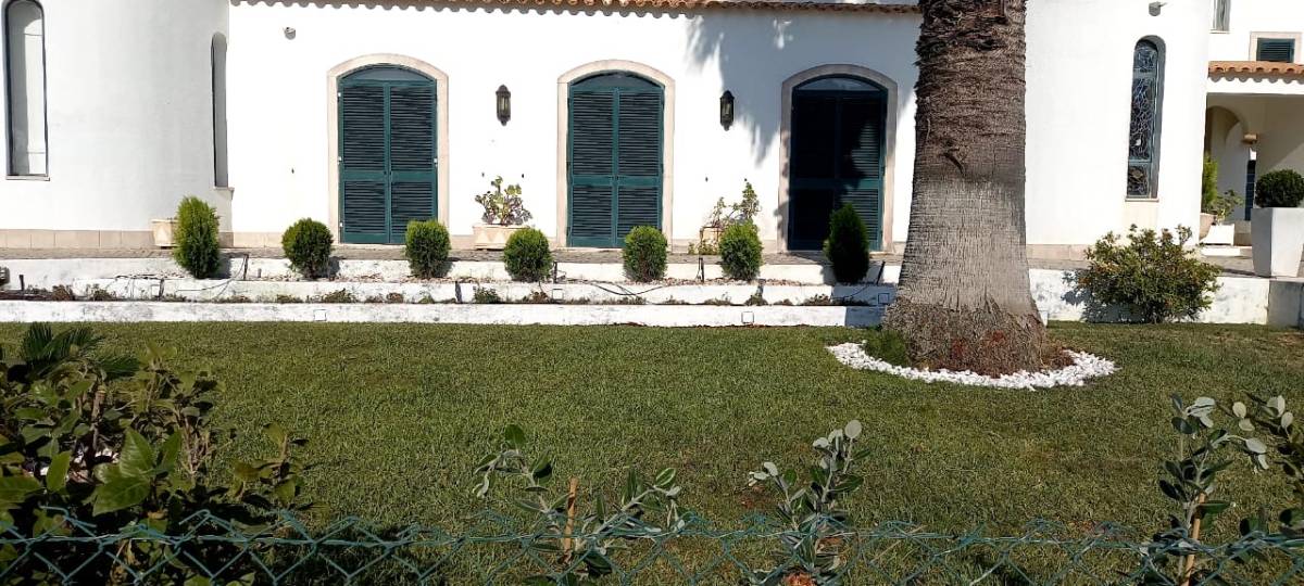 O mundo das plantas - Benavente - Jardinería