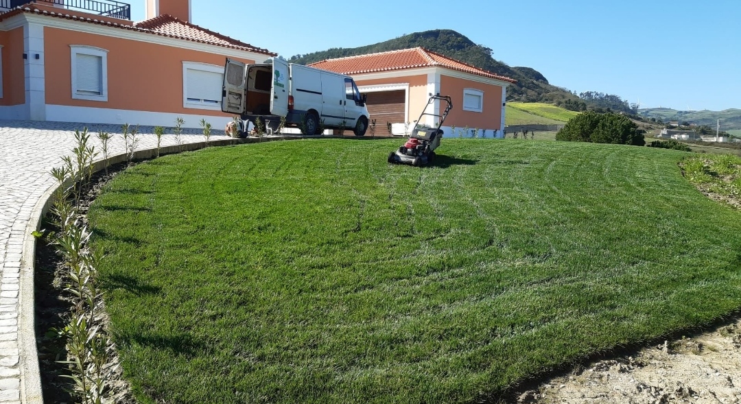 Rafael limpeza de jardins - Vila Nova de Famalicão - Remoção de Tronco de Árvore