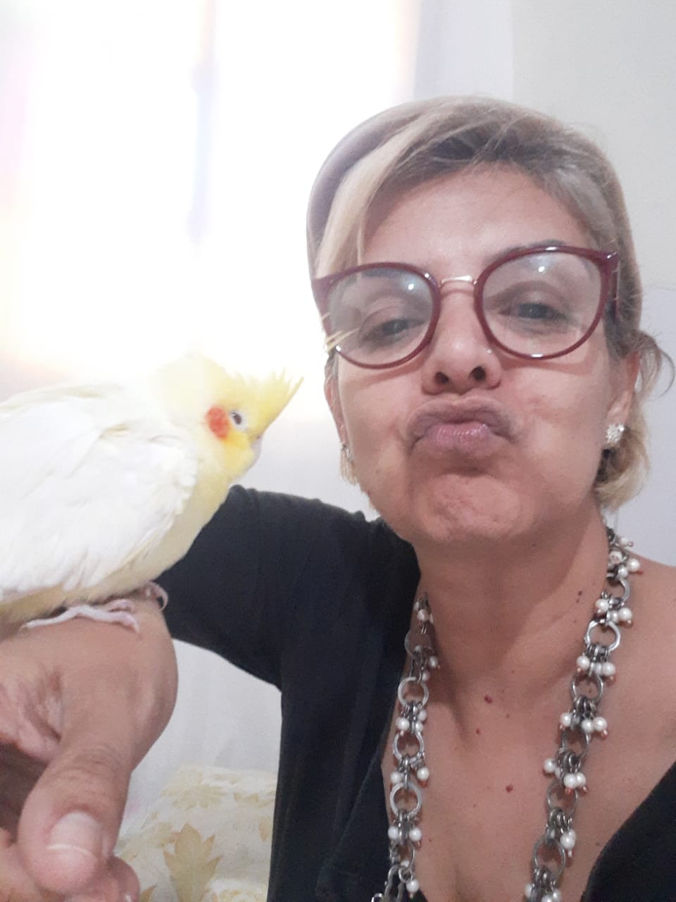 Luciana Félix - Setúbal - Pet Sitting