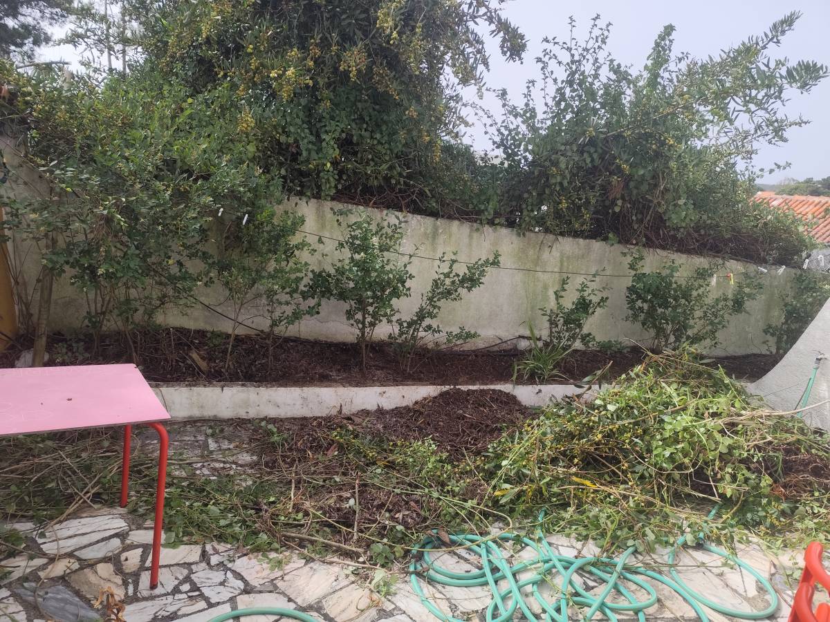 Artur - Sesimbra - Dog Fence Installation