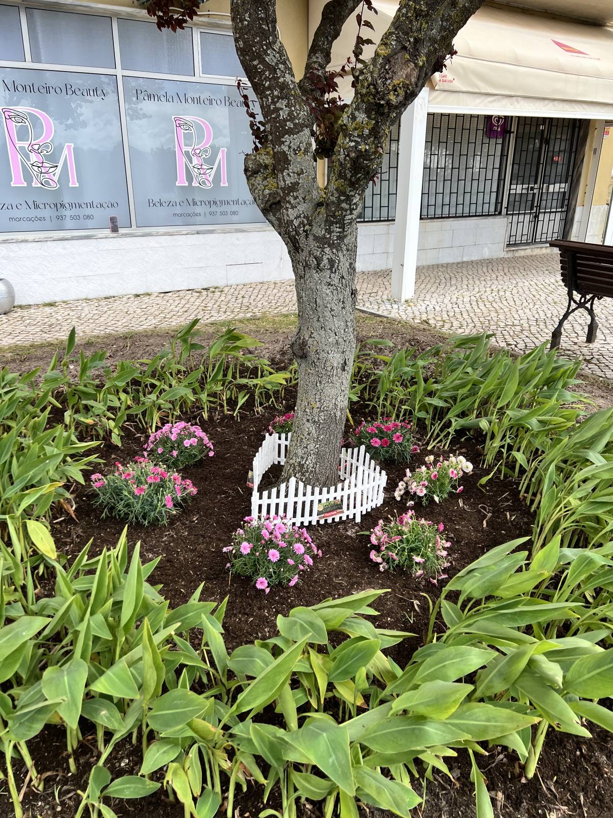 O mundo das plantas - Benavente - Deshierbo