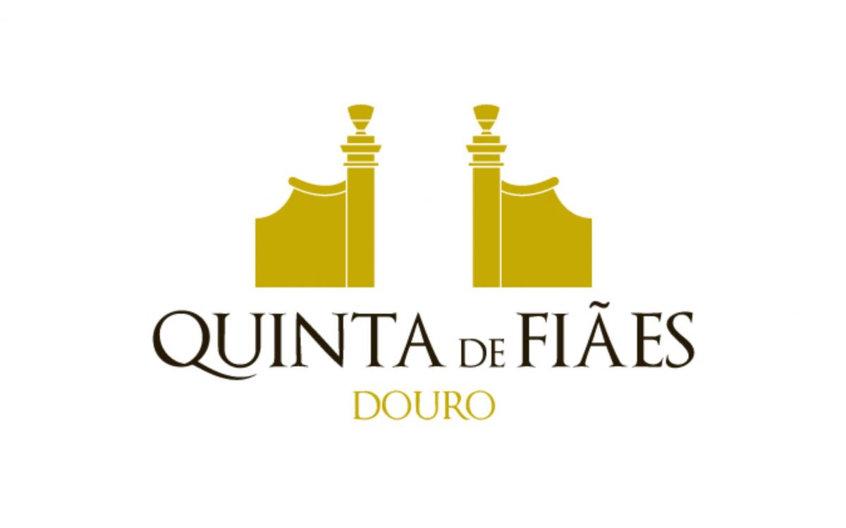 Bruno Vieira - Ourém - Design de Impressão