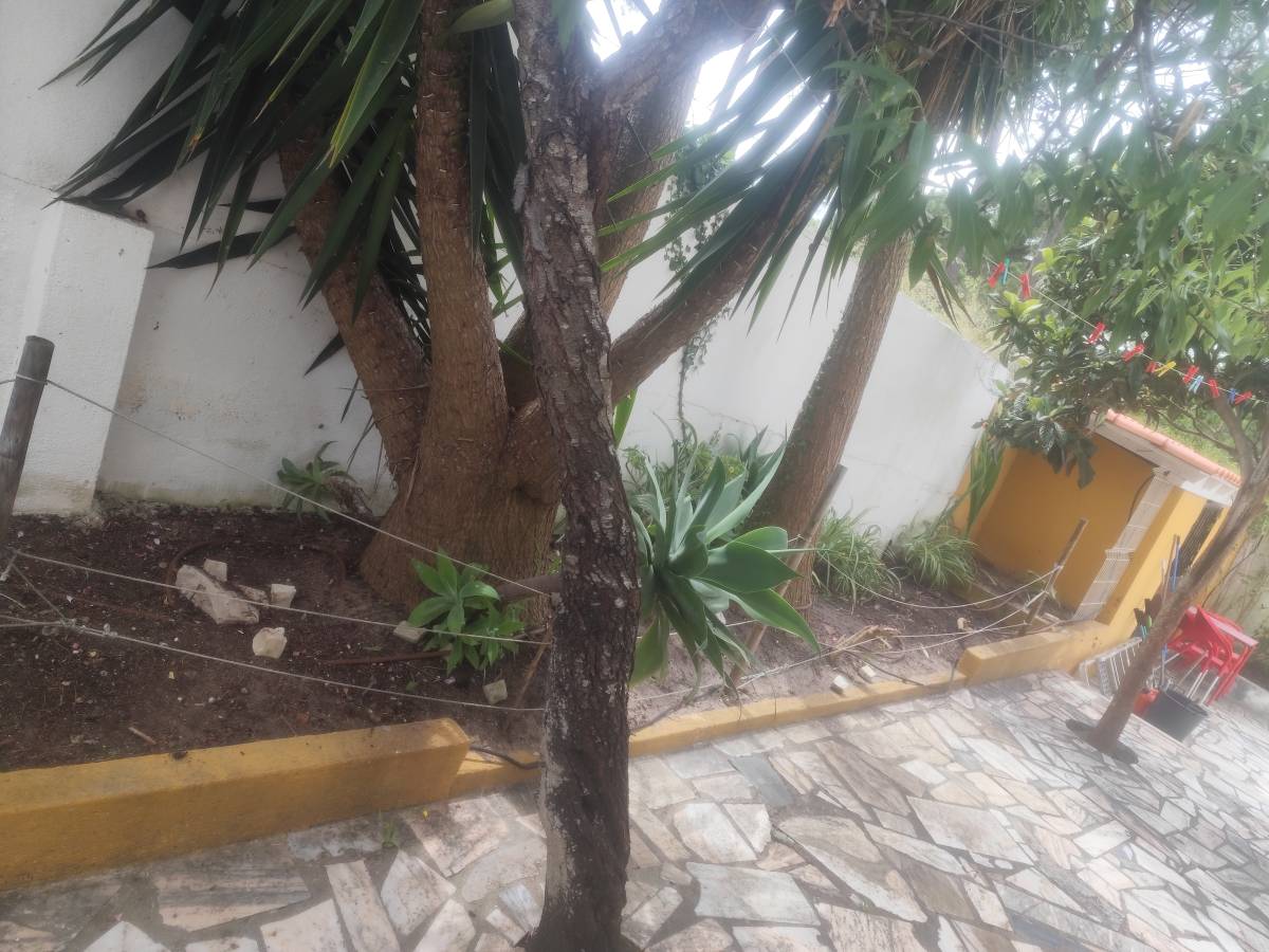Artur - Sesimbra - Swimming Pool Cleaning or Maintenance