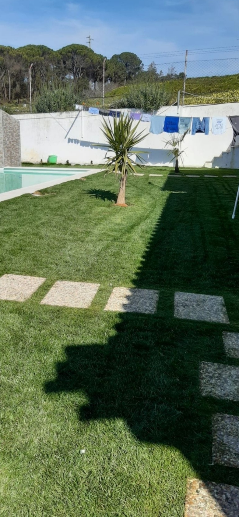 Rafael limpeza de jardins - Vila Nova de Famalicão - Baumpflege