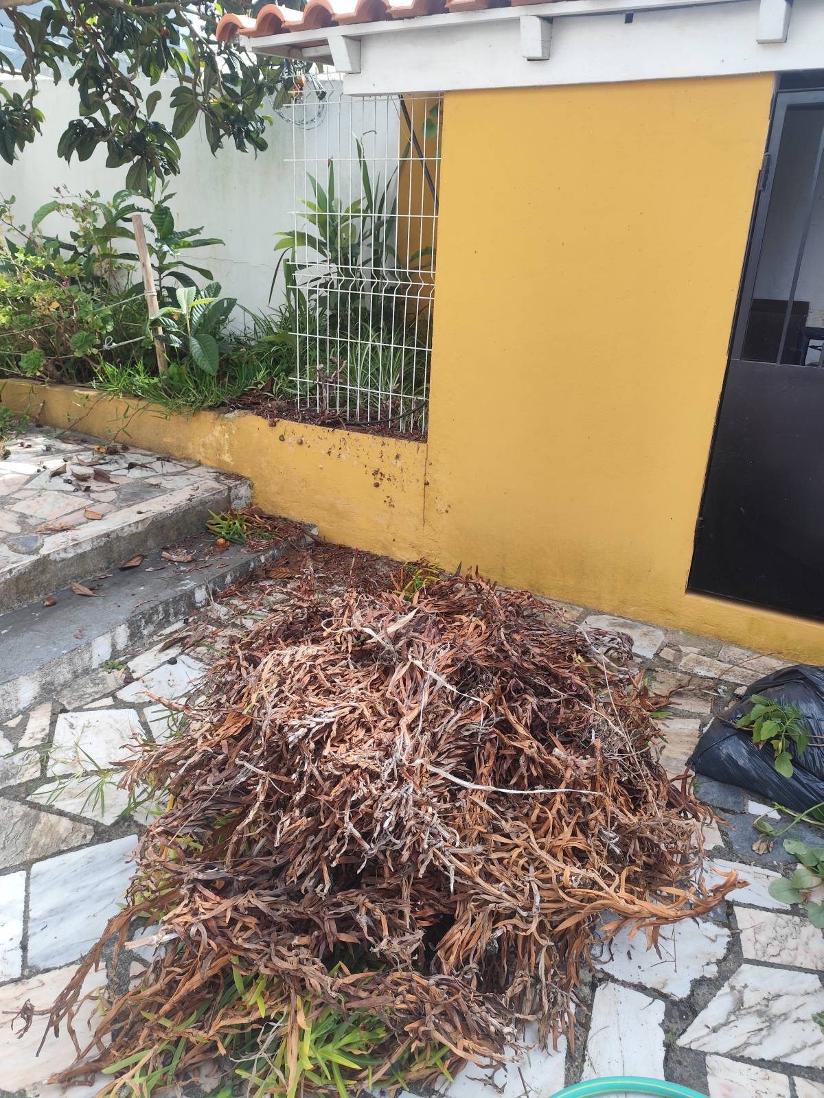 Artur - Sesimbra - Gazebo Repair and Maintenance