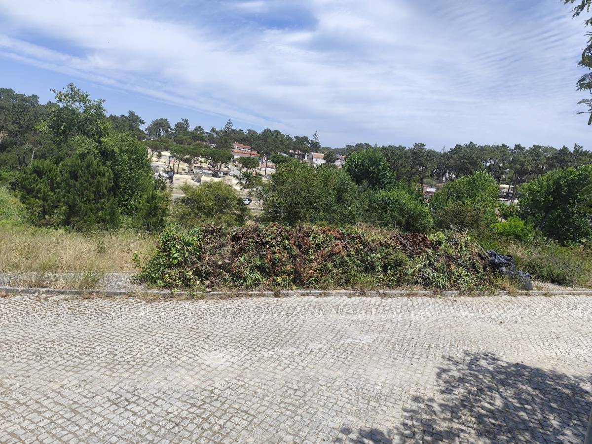 Artur - Sesimbra - Multi Service Lawn Care