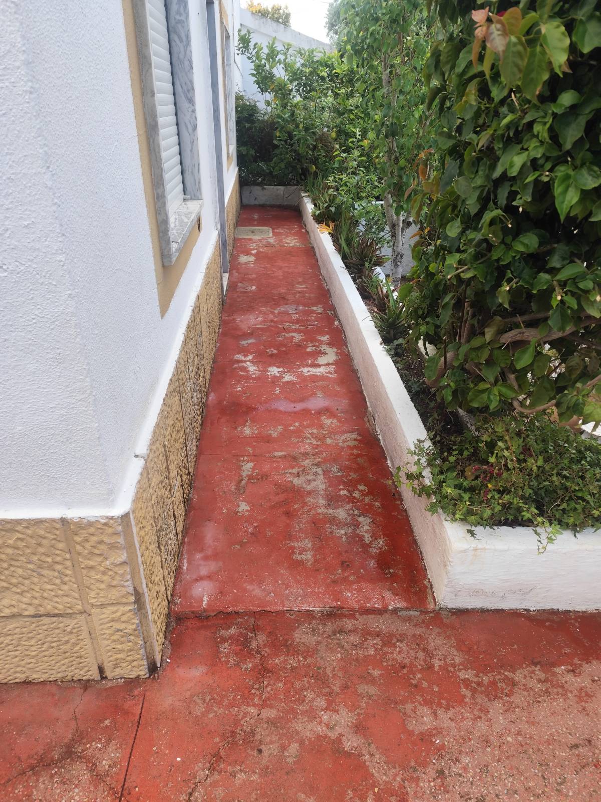 Artur - Sesimbra - Tile Repair