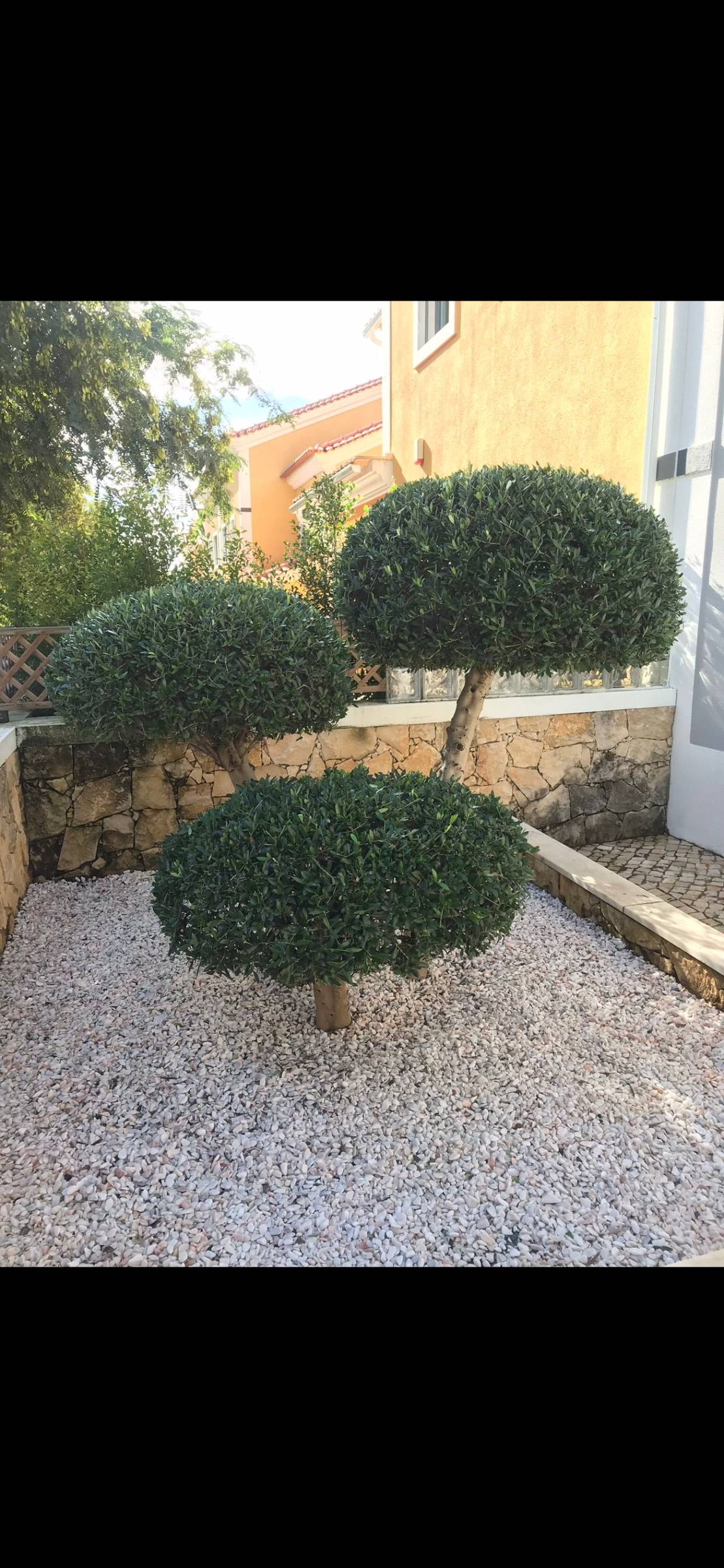 EPO Jadinagem e Construçao - Sintra - Réparation de terrasse