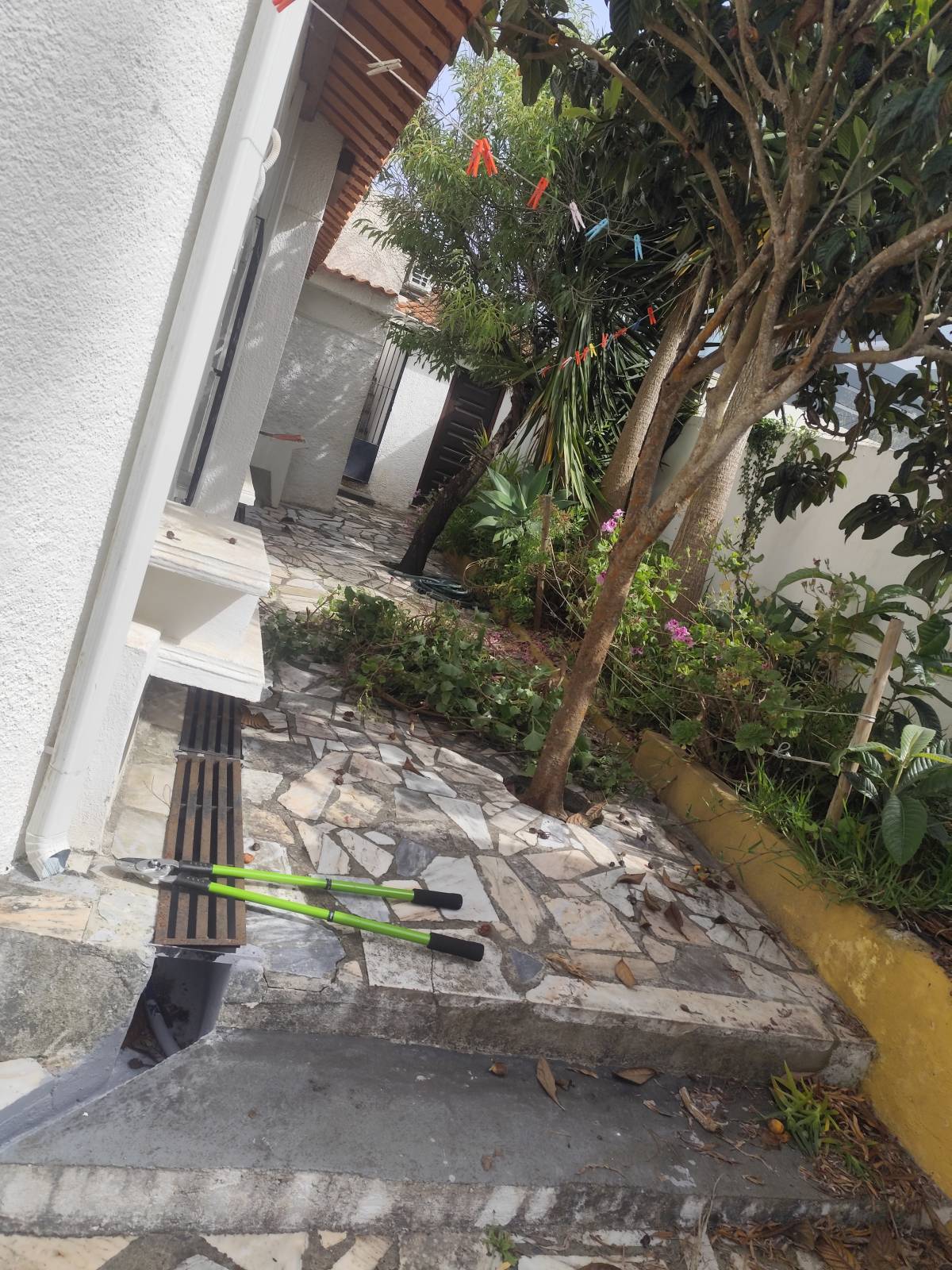 Artur - Sesimbra - Furniture Repair