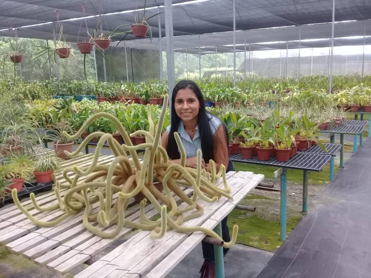 O mundo das plantas - Benavente - Cortar y podar el césped