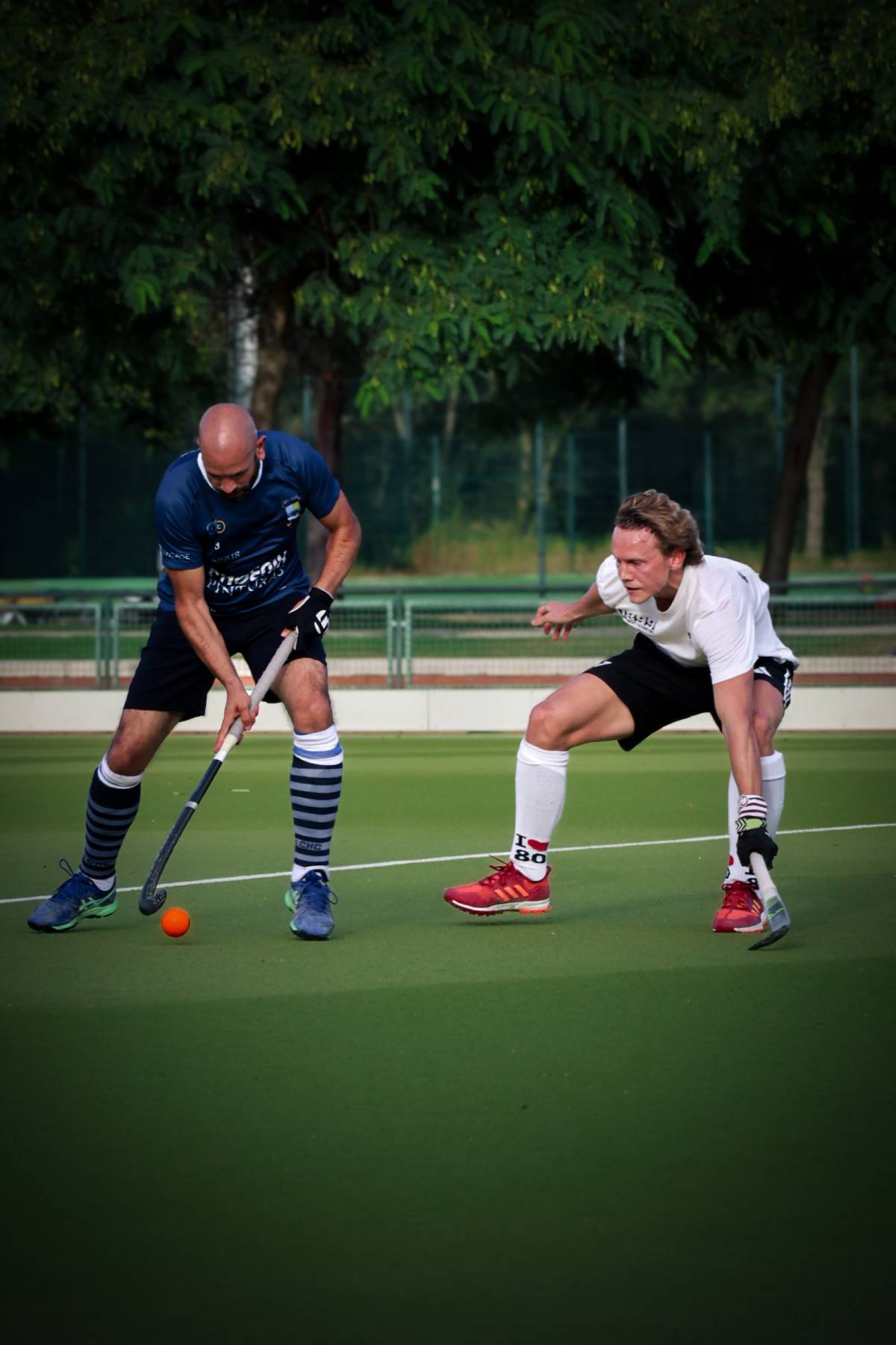 Núria - Sintra - Pet Photography