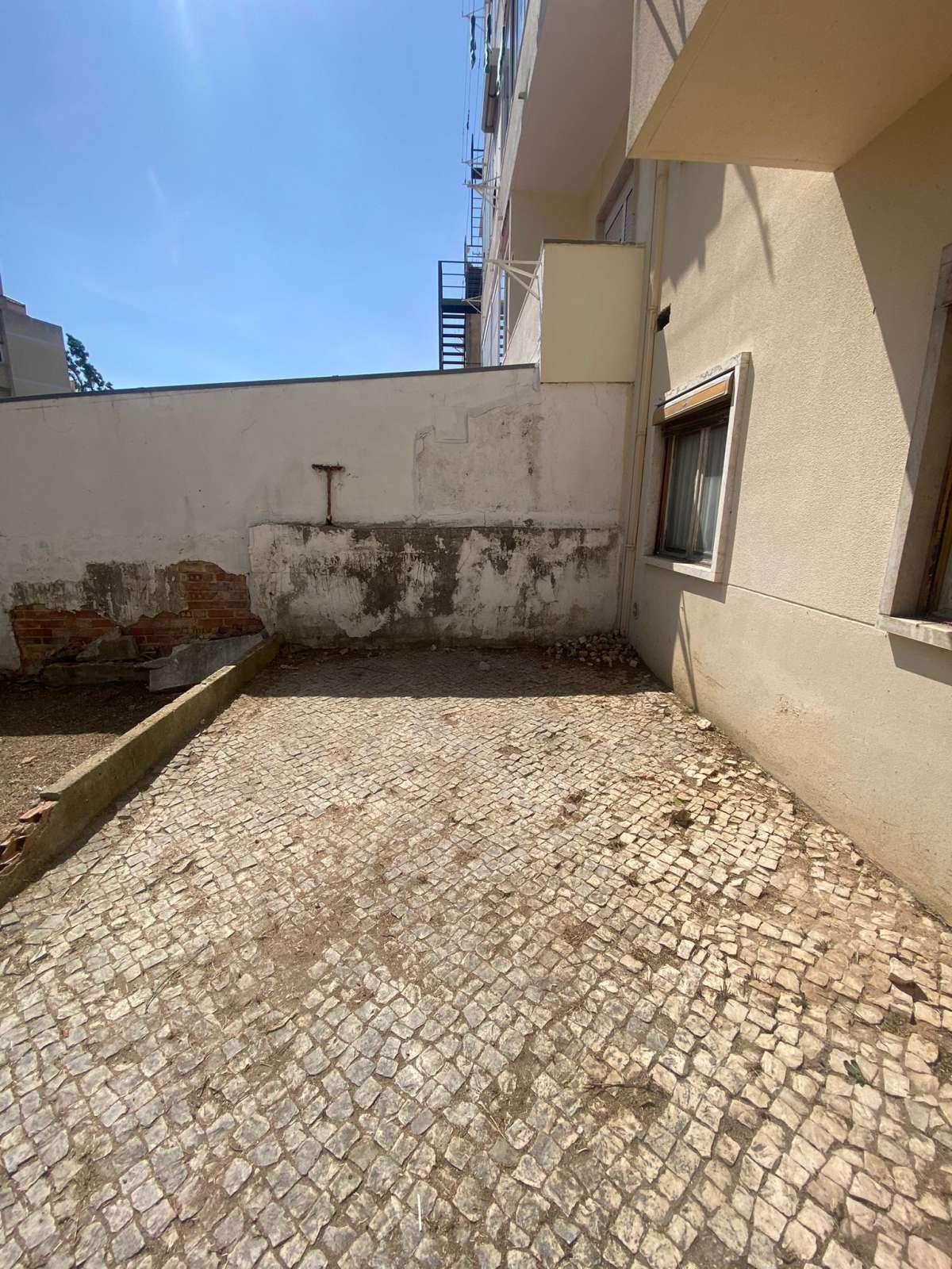 Verde com sede - Cascais - Business Consulting