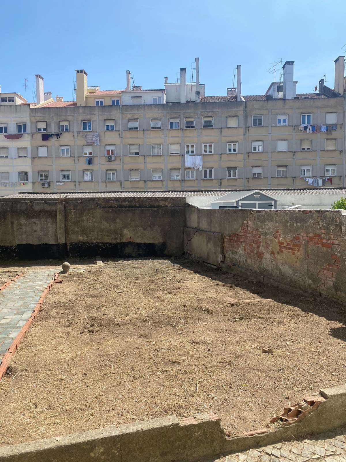 Verde com sede - Cascais - Shrub Removal