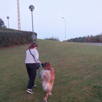 Beatriz Cardoso - Oeiras - Cat Sitting