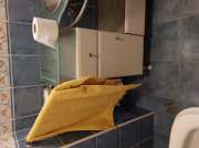 Additions and Remodels