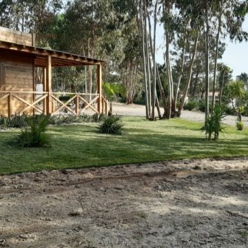 Rafael limpeza de jardins - Vila Nova de Famalicão - Grundreinigung oder Frühjahrsputz