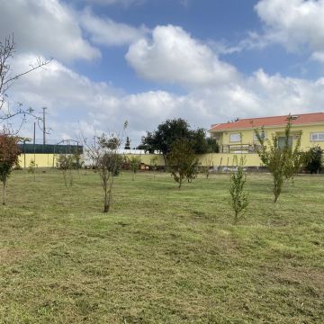 Rafael limpeza de jardins - Vila Nova de Famalicão - Küche sanieren