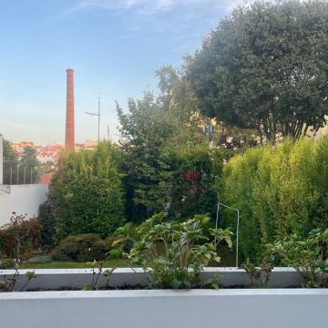 Diogo Gouveia - Garden Keeper - Manutenção de Jardins - Lisboa - Tratamento de Relvado