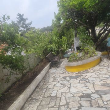 Artur - Sesimbra - Tree Stump Grinding and Removal