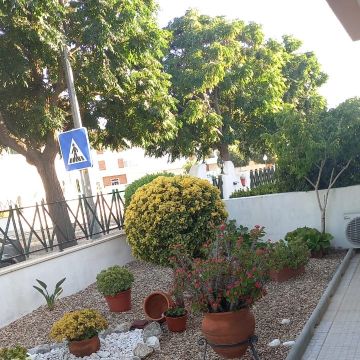 O mundo das plantas - Benavente - Instalación de césped