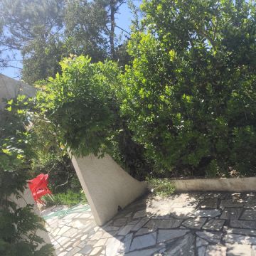 Artur - Sesimbra - Roof Cleaning