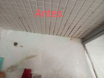 Mónica Gonçalves - Ovar - Organizador del hogar