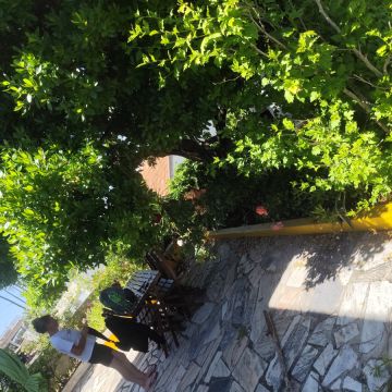Artur - Sesimbra - Lawn Mowing and Trimming