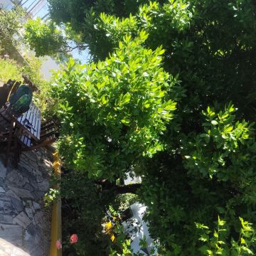 Artur - Sesimbra - Hot Tub and Spa Installation