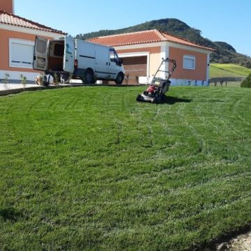 Rafael limpeza de jardins - Vila Nova de Famalicão - Remoção de Tronco de Árvore