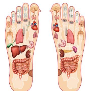 Esteticista-Massagista - Moita - Massage sportif