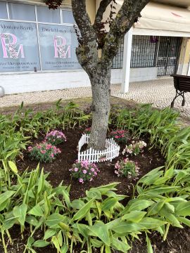 O mundo das plantas - Benavente - Deshierbo